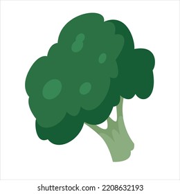 broccoli for vegetables vector illustration