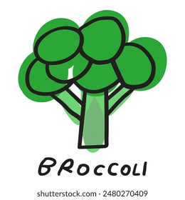 Broccoli. Vegetarian food. Hand drawn illustration on white background.