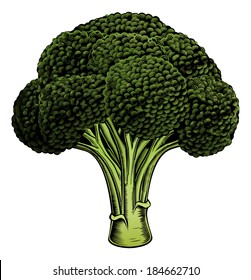 A broccoli vintage woodcut illustration in a vintage style