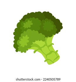 Broccoli with vitamin C vector illustration. Cartoon drawing of enriched organic antioxidant, broccoli. Food, nutrition, diet concept