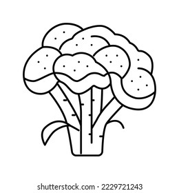 broccoli vitamin plant line icon vector. broccoli vitamin plant sign. isolated contour symbol black illustration