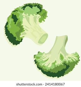 Broccoli, whole and cut in half. Diet autumn vegetables. Vector icons