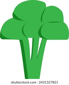 Broccoli (with shadows) isolated on white background. 