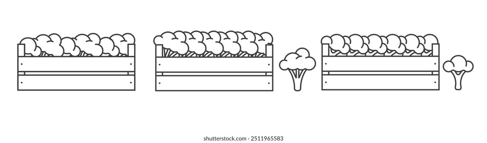 Brócolis em contorno de ícone de caixa de madeira. Vegetal na caixa. Planta alimentar
