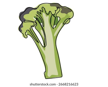 Broccolini in continuous line drawing style on a white background.