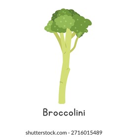 Ilustración vectorial plana de dibujos animados Broccolini aislada sobre fondo blanco