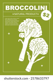 Broccolini. Set of posters of vegetables in a abstract draw design. Label or poster, price tag. Simple, flat design. Patterns and backgrounds. Perfect for poster, cover, banner.