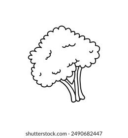 broccoli,vector doodle isolated at white background, hand drawn line drawing cartoon style clip art