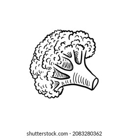 Broccoli,vector Drawing Sketch Of Vegetable Isolated At White Background,hand Drawn Illustration