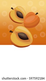 brochure apricot fruit blank