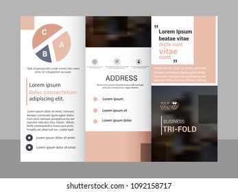 Brochure design, brochure template, creative tri-fold, brochure