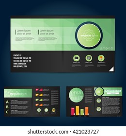 Brochure Flyer colorful design vector template