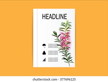 Brochure Flyer design Layout template, size A4 bottle brush flowers or callistemon 