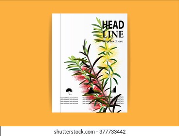 Brochure Flyer design Layout template, size A4 bottle brush flowers or callistemon 
