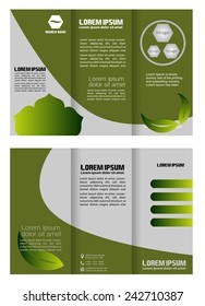 Brochure folder leaflet bio eco green leaf nature abstract elementÃ?Â  