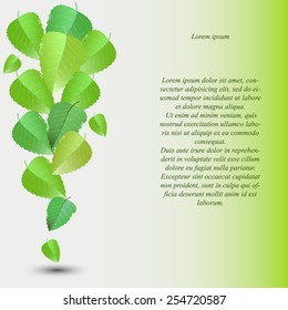 brochure with green leaves