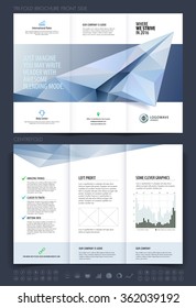 Brochure layout, flyer and cover design template with polygonal paper plane graphics. Vector illustration.