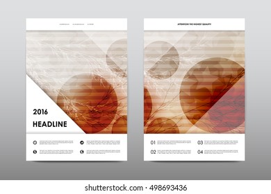 Brochure layout template flyer design vector, Magazine booklet cover abstract background