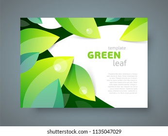 Brochure Leaf nature green theme foliage element cover 