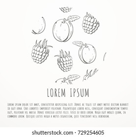 Brochure or menu template with fruits outline pattern