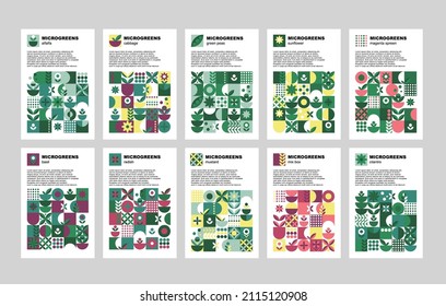 Brochure with microgreen set cards geometry on white background for print design. Vector banner template. Graphic illustration