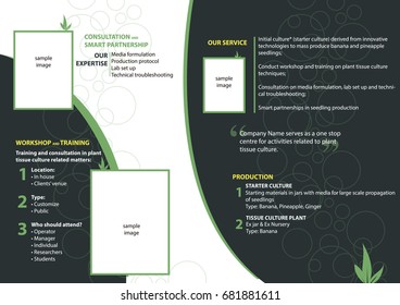 Brochure in modern and interactive flat design, suitable for promotion a company details in an A4 flyer or digital flyer. Bi-fold Design.