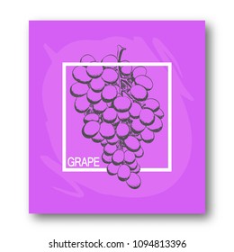 Brochure, poster, advertising flyer. Bunch of grapes drawn by hand, in a white frame on a purple background. Calligraphy.  For your design. 10 eps