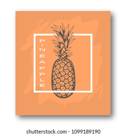 Brochure, poster, advertising flyer. Pineapple drawn by hand, in a white frame on an orange background. Calligraphy. For your design. 10 eps