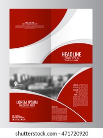 Brochure template. Can be used for magazine cover, business mockup, education, presentation, report. Abstract flyer design background. a4 size with editable elements. EPS 10.