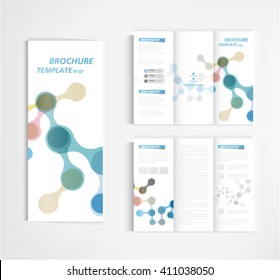 brochure template design vector