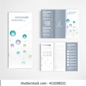 brochure template design vector