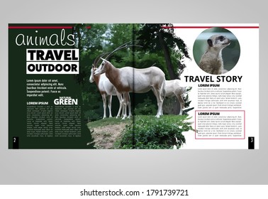 Brochure Template Flyer With Animal Nature, Vector Mockup