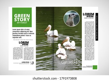 Brochure template flyer with animal nature, vector mockup