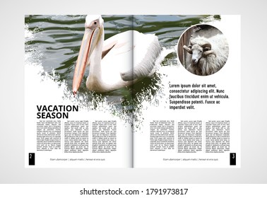 Brochure Template Flyer With Animal Nature, Vector Mockup