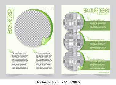 Brochure template, Flyer design green color template