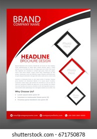 Brochure template flyer design vector background