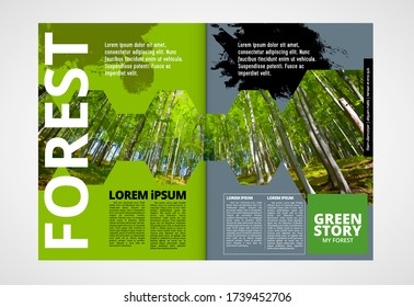 Brochure template flyer with sunny forest background