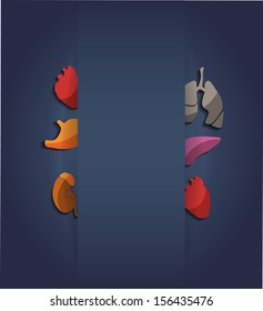 Brochure of various human organs- heart, liver, kidneys, stomach and lungs. Colorful design.