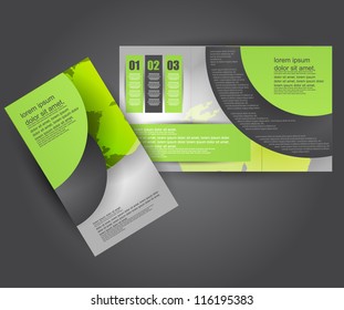 brochure/flyer design