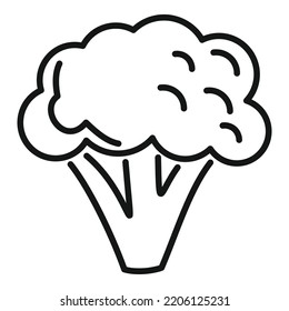 Brocoli bunch icon outline vector. Cabbage vegetable. Plant salad