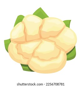 Brocoli cauliflower icon cartoon vector. Cabbage food. Organic farm