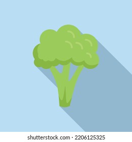 Brocoli cauliflower icon flat vector. Vegetable food. Salad plant