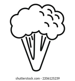 Brocoli cauliflower icon outline vector. Vegetable food. Salad plant