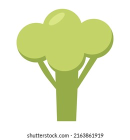 Brocoli Flat Vector On White Background. Vegetable Fresh Farm Healthy Food