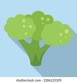 Brocoli head icon flat vector. Vegetable cabbage. Plant salad