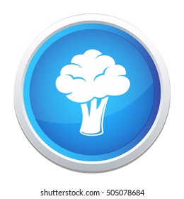 brocoli  icon