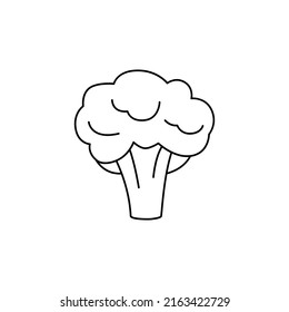 Brocoli icon in line style icon, isolated on white background