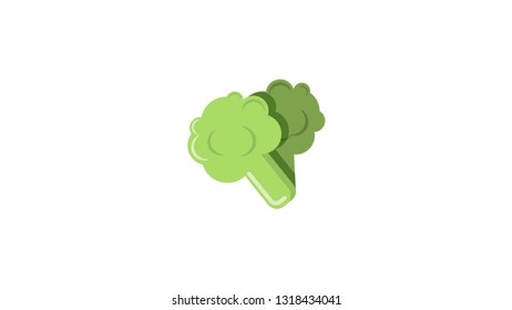Brocoli isolated vector illustration