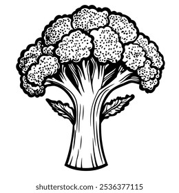  Brocoli in simple black and white woodblock print