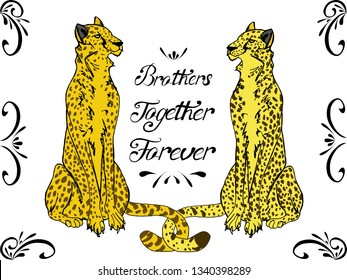 Brohers togethe forever cheetah 